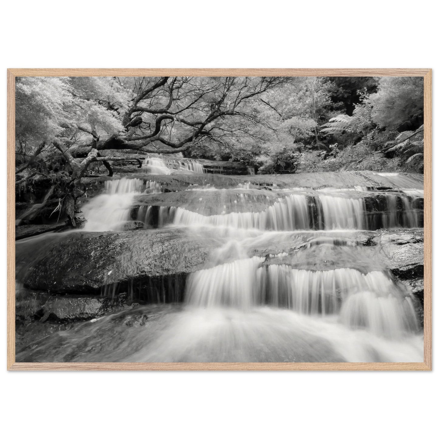 294ecd35-4edb-4123-aa2f-79207ac11687