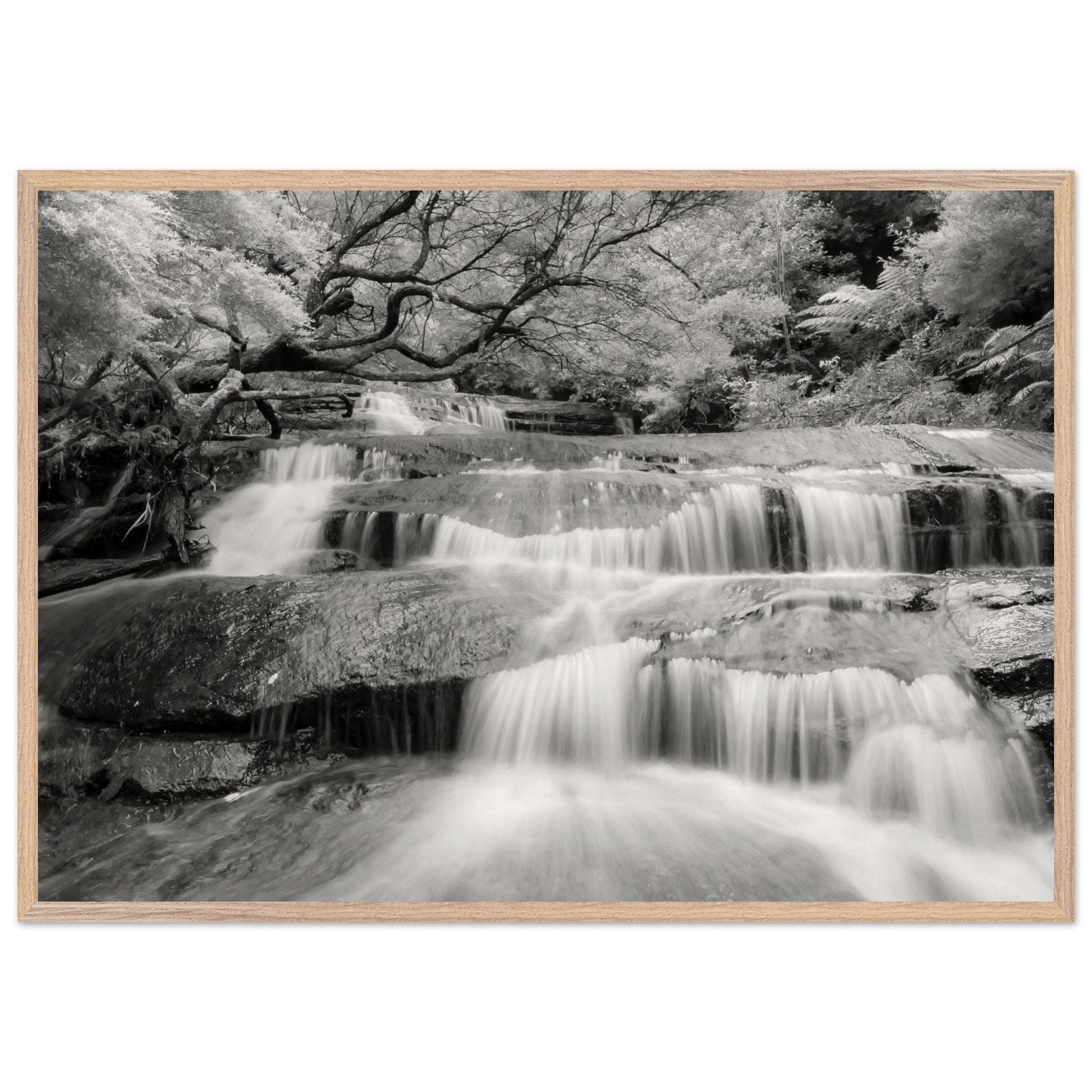 294ecd35-4edb-4123-aa2f-79207ac11687