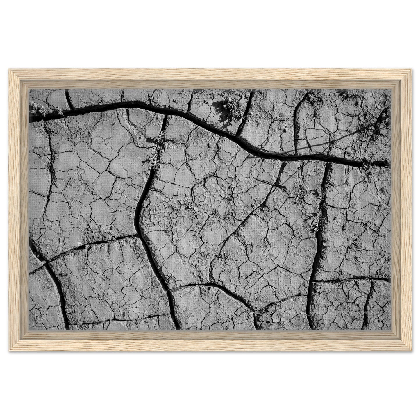 295f6522-0840-456c-b5db-12f70b76b604