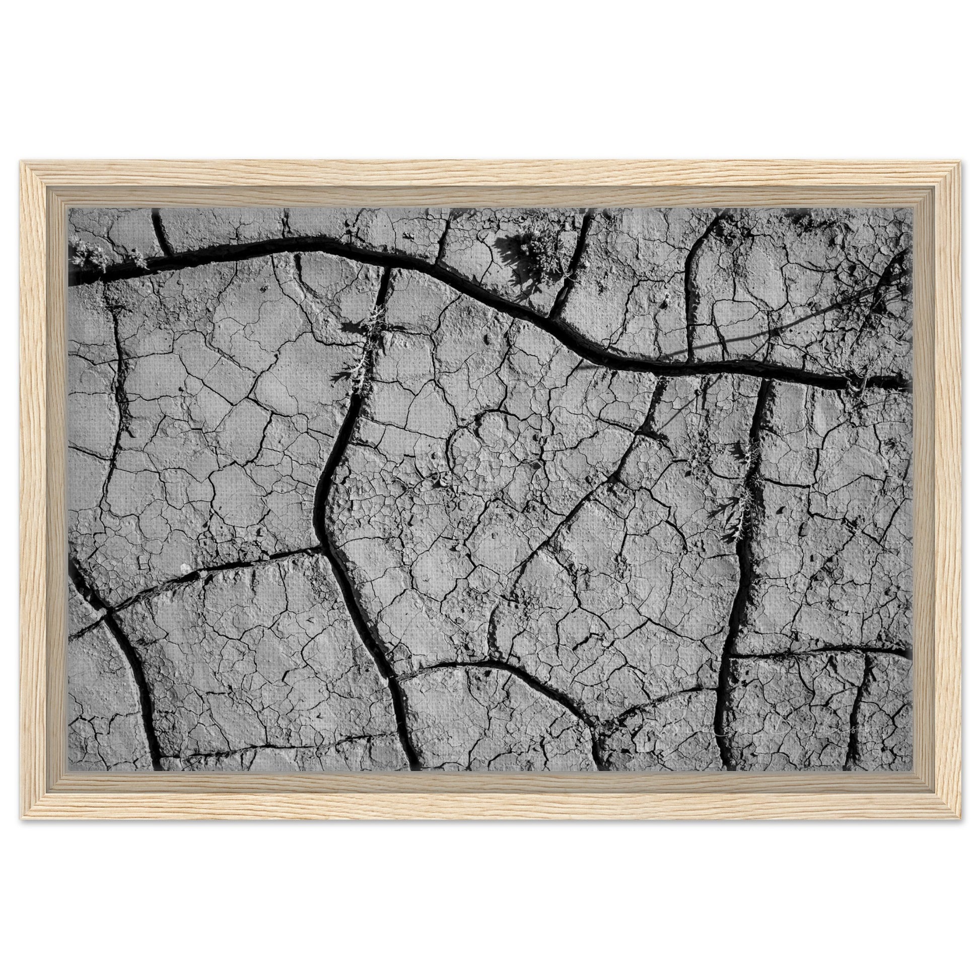 295f6522-0840-456c-b5db-12f70b76b604