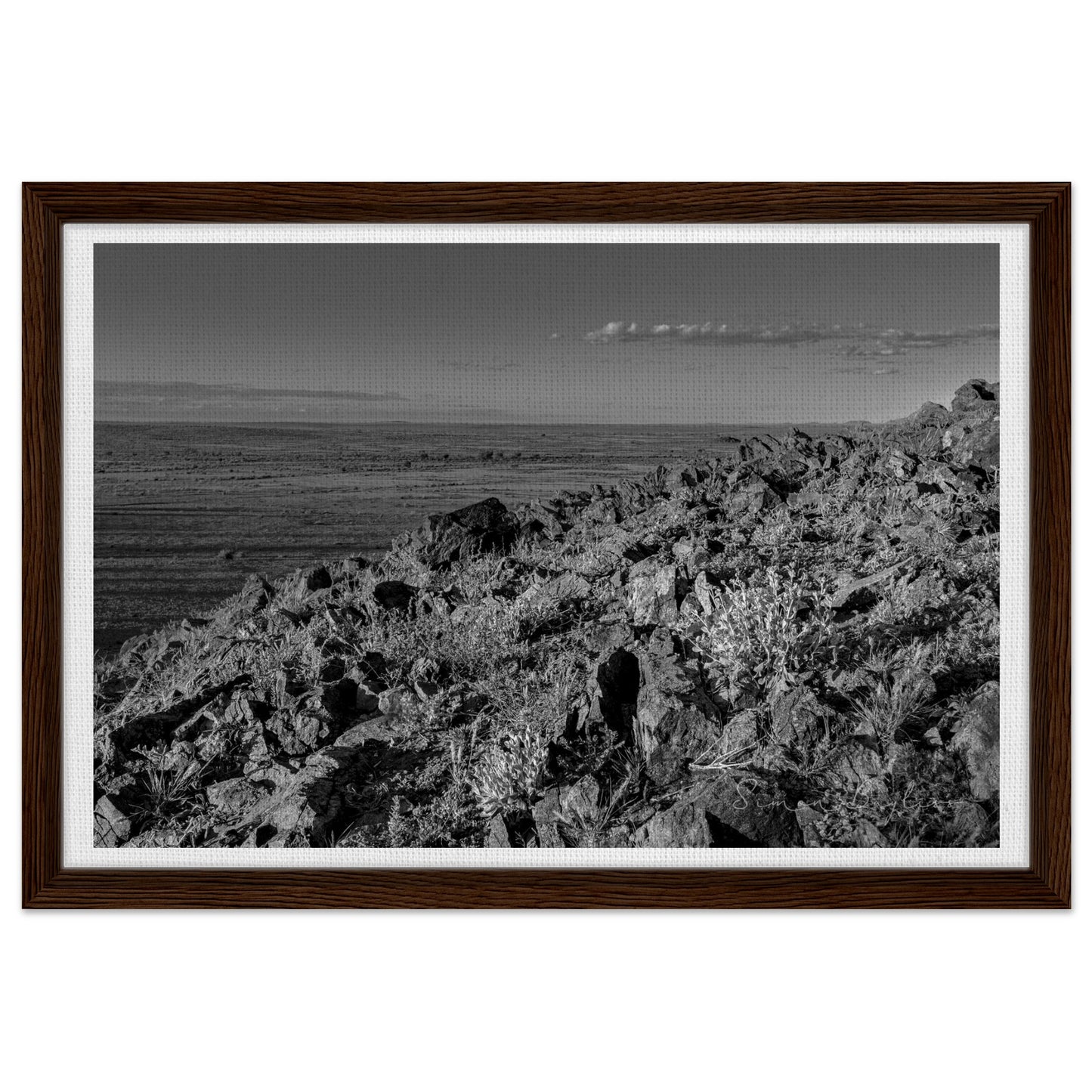 298e8864-9012-4518-9eba-f90c6ca186ba