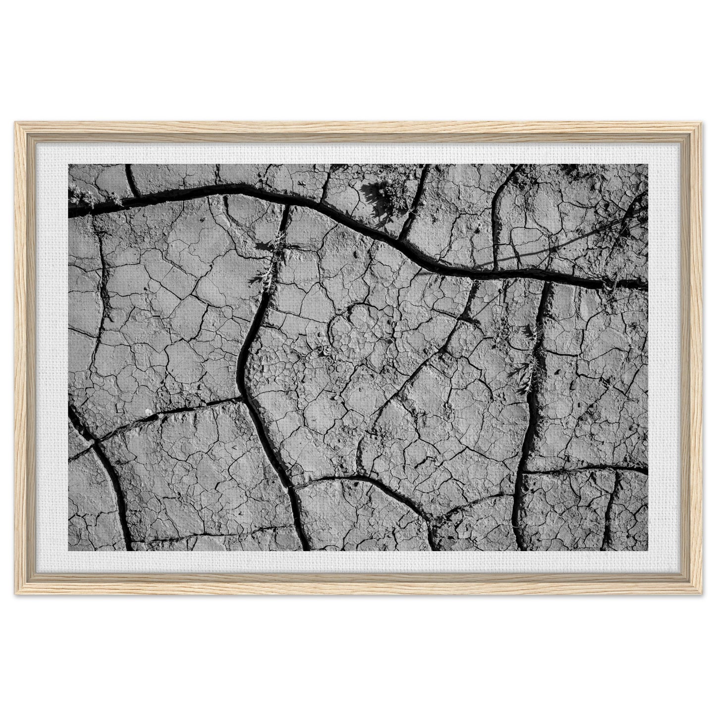 29aedf65-3397-4073-8583-c3ebee3ea4ad