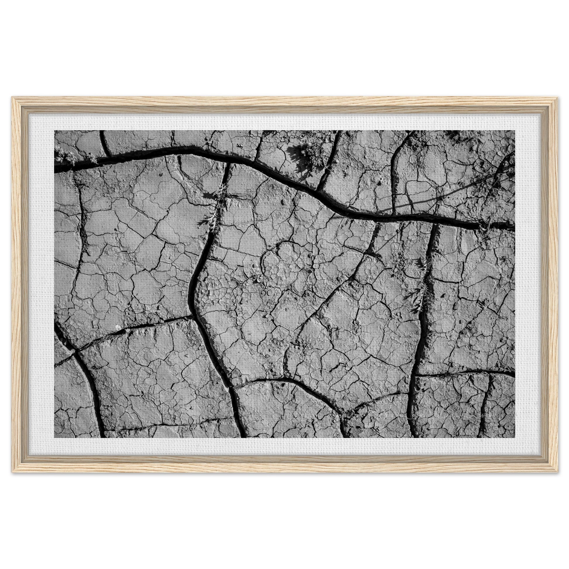 29aedf65-3397-4073-8583-c3ebee3ea4ad