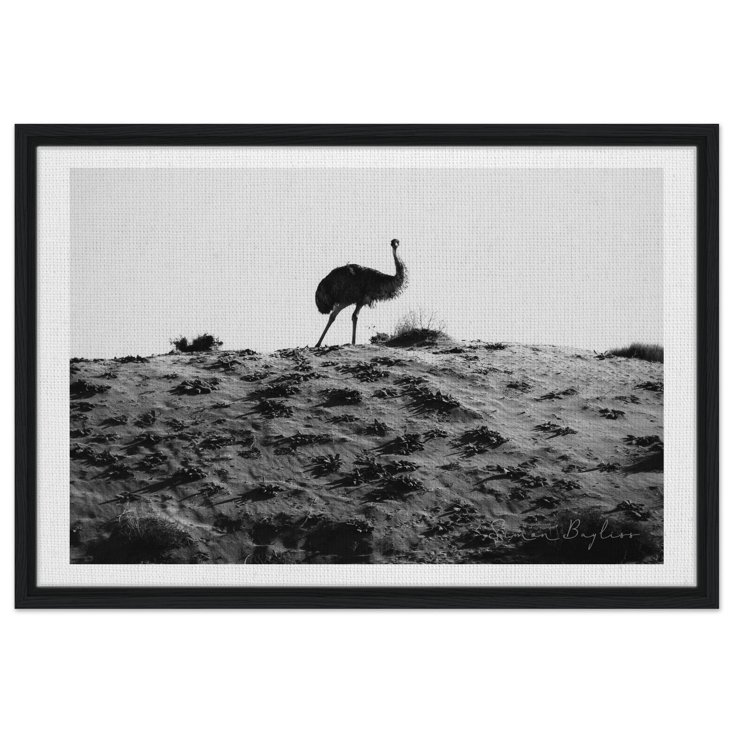 29d6c664-51f4-4a83-ac41-cd58fefeeb01