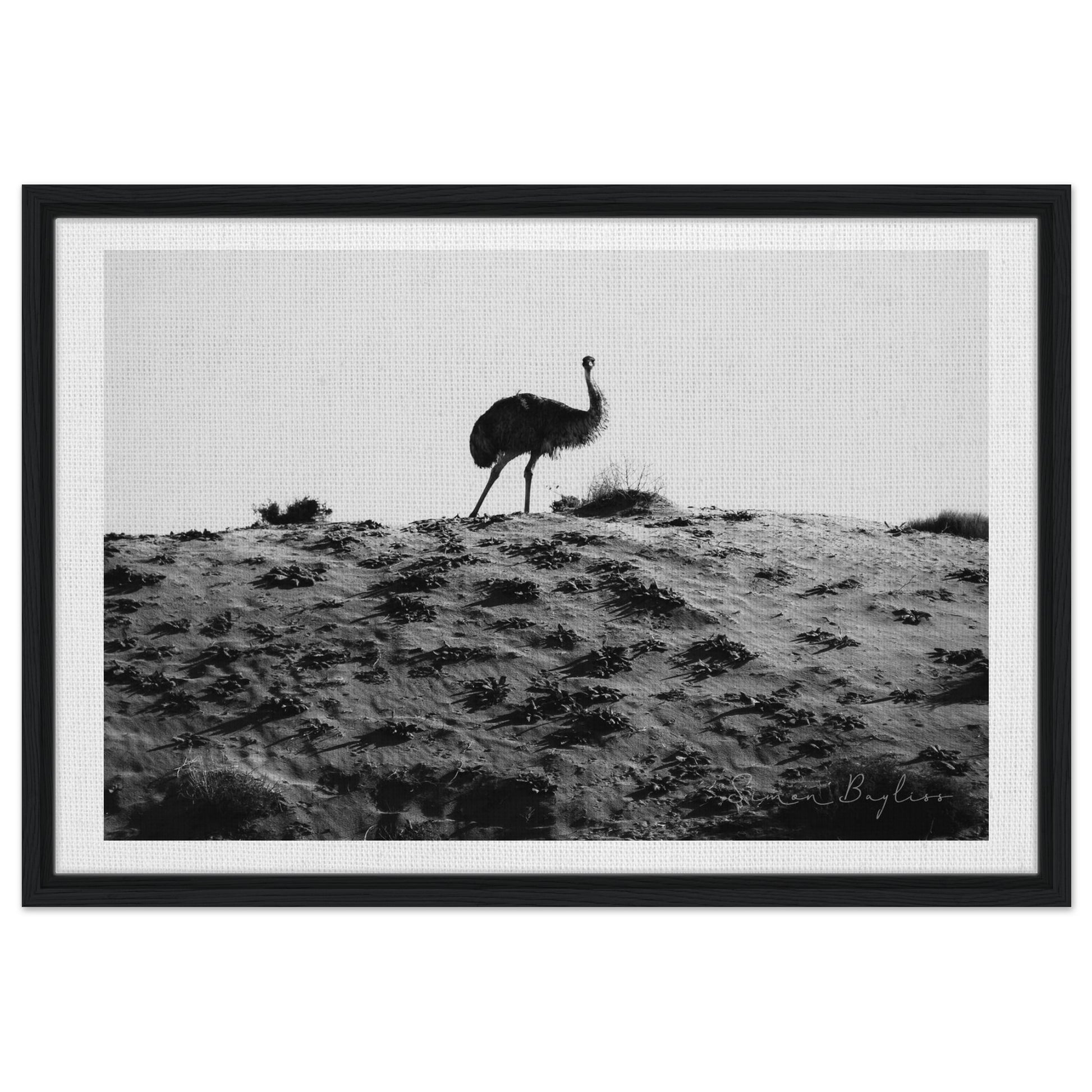 29d6c664-51f4-4a83-ac41-cd58fefeeb01