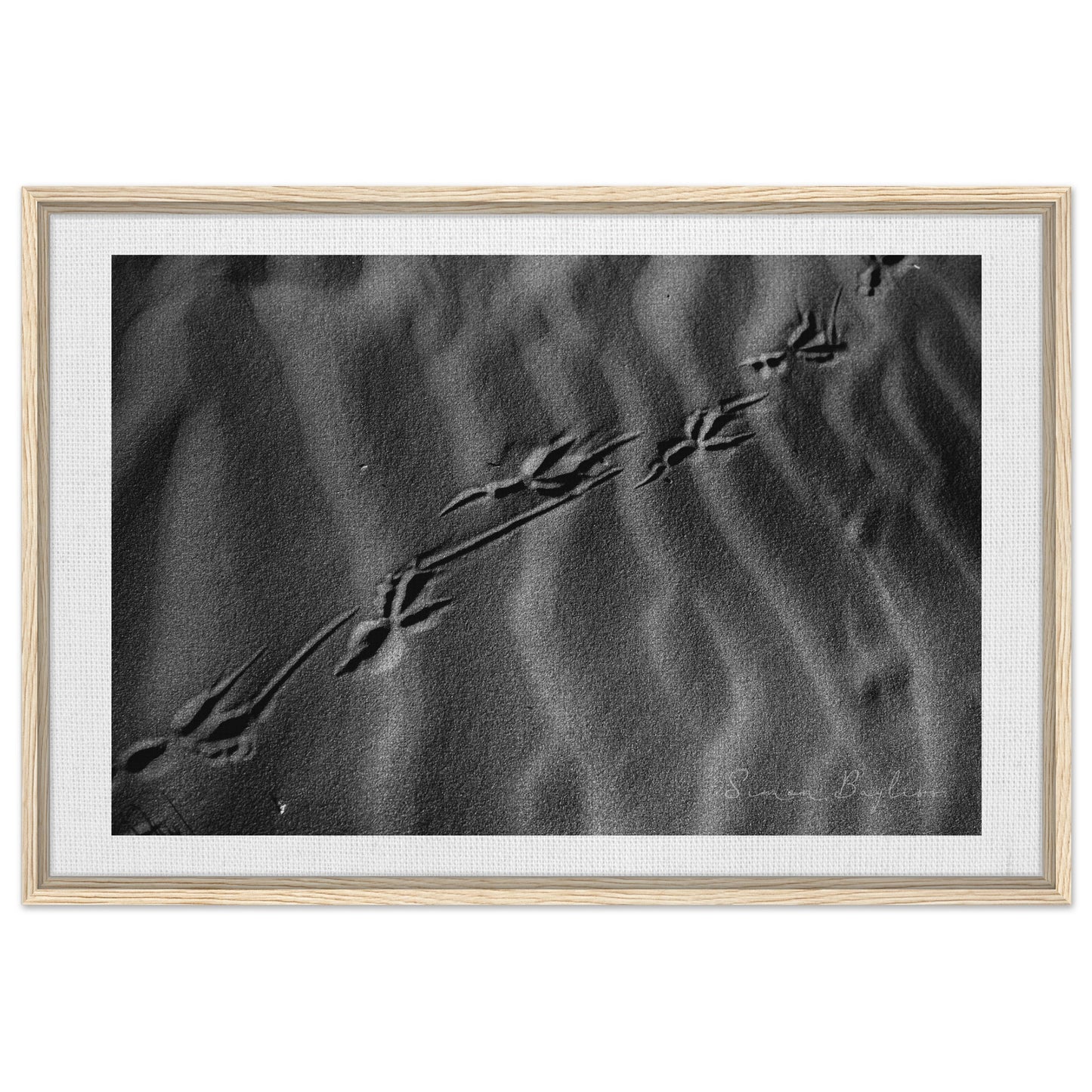 2a096bdd-c5f6-4368-861e-207ff81a534e