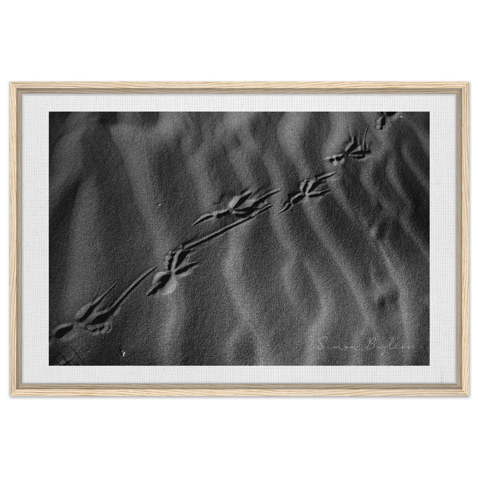 2a096bdd-c5f6-4368-861e-207ff81a534e