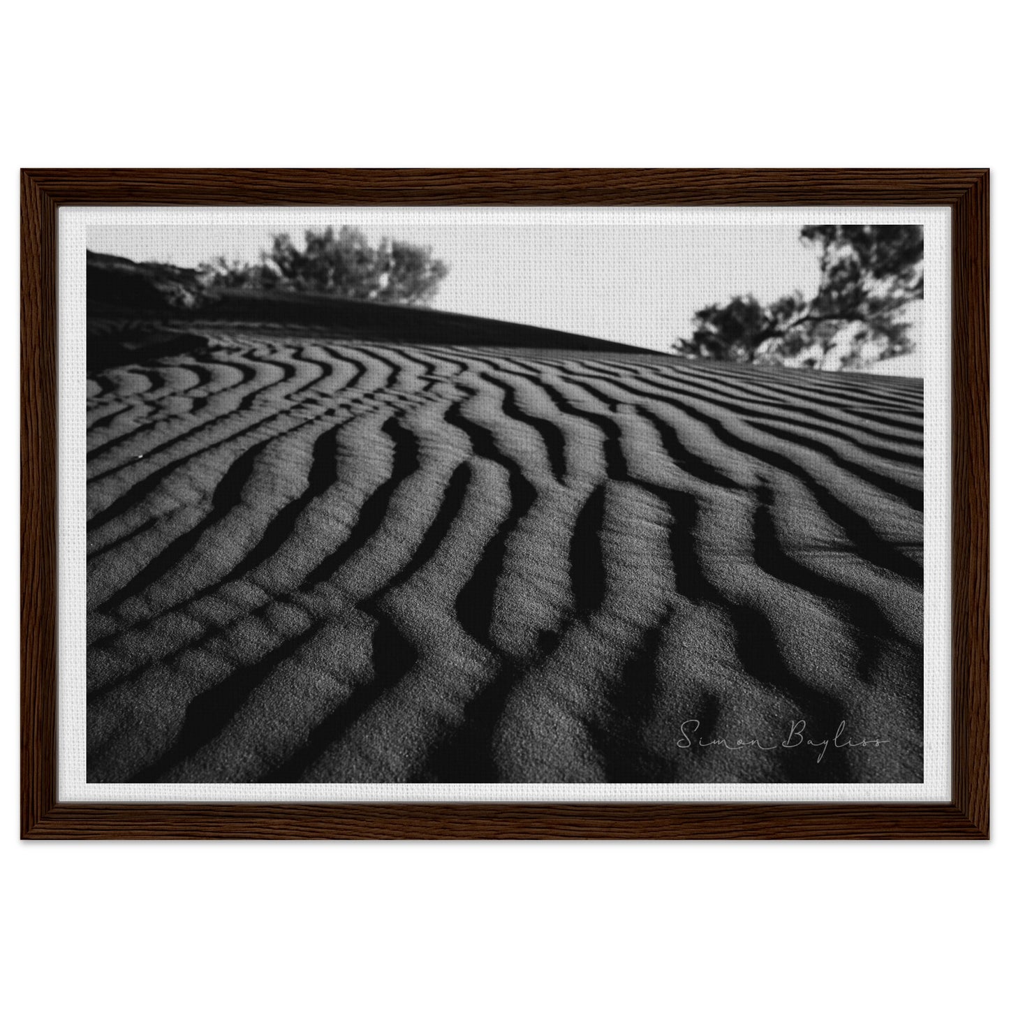 2a449f99-6fc5-4088-a1fe-e93ec8b20ad4