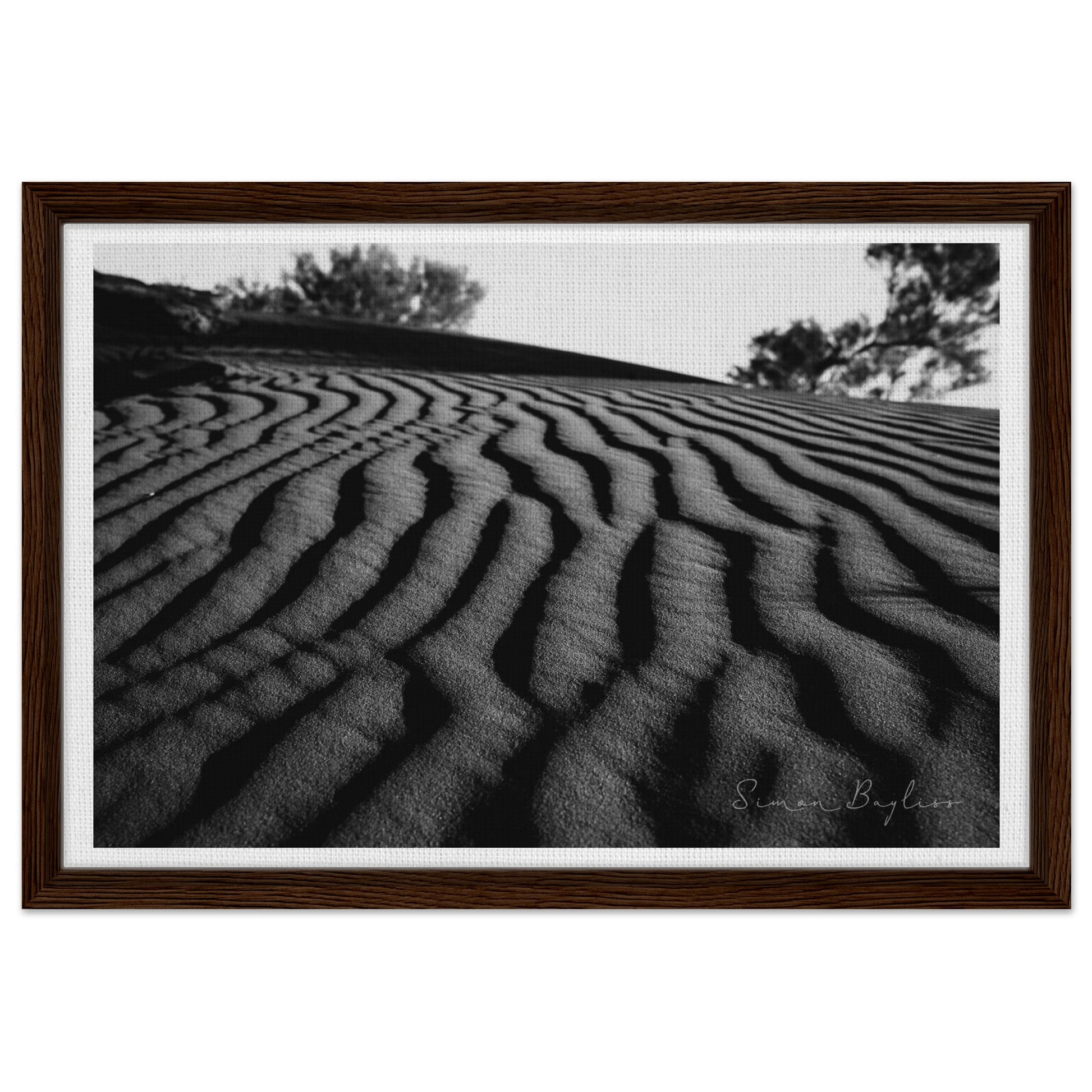 2a449f99-6fc5-4088-a1fe-e93ec8b20ad4