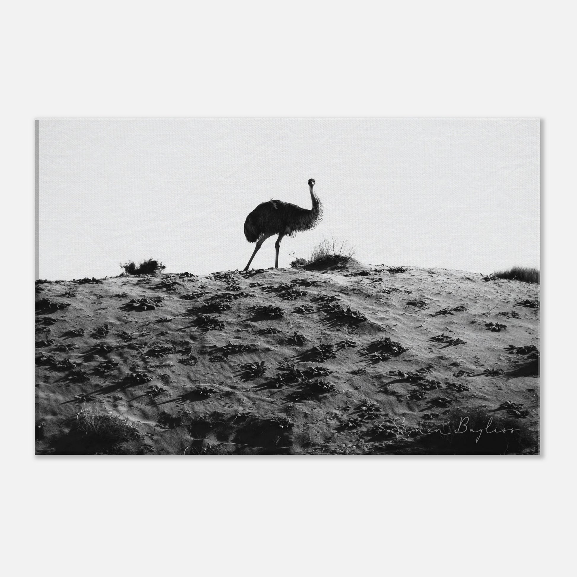 2a774333-d049-4294-abf6-1da70f00dfdb