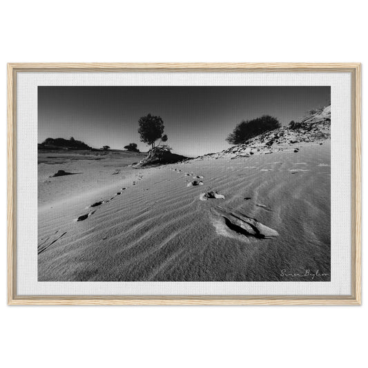 2adcbf6a-c8cd-43eb-a912-a7b2a42ff40b