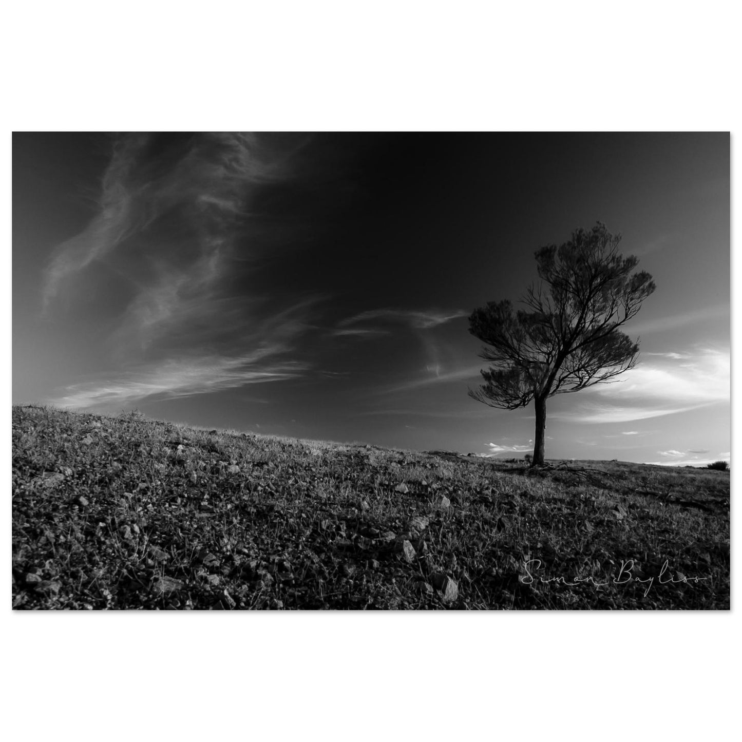 2ae75f65-177d-4858-b856-905656678031