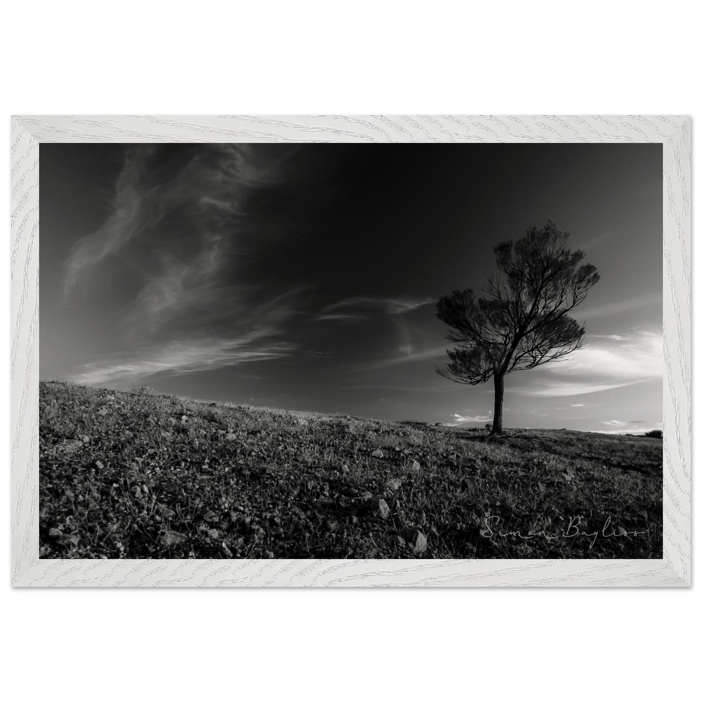 2b0dda55-ce5d-40c9-ba1e-0626a84f2cab