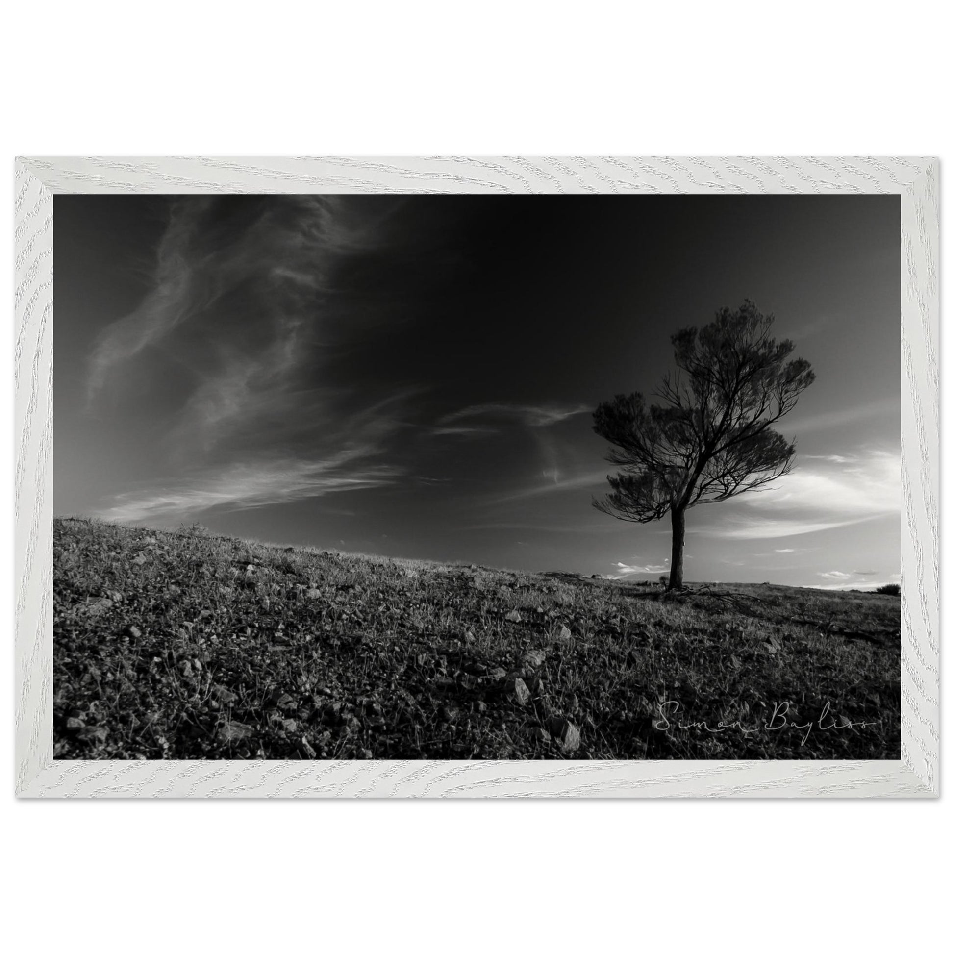 2b0dda55-ce5d-40c9-ba1e-0626a84f2cab