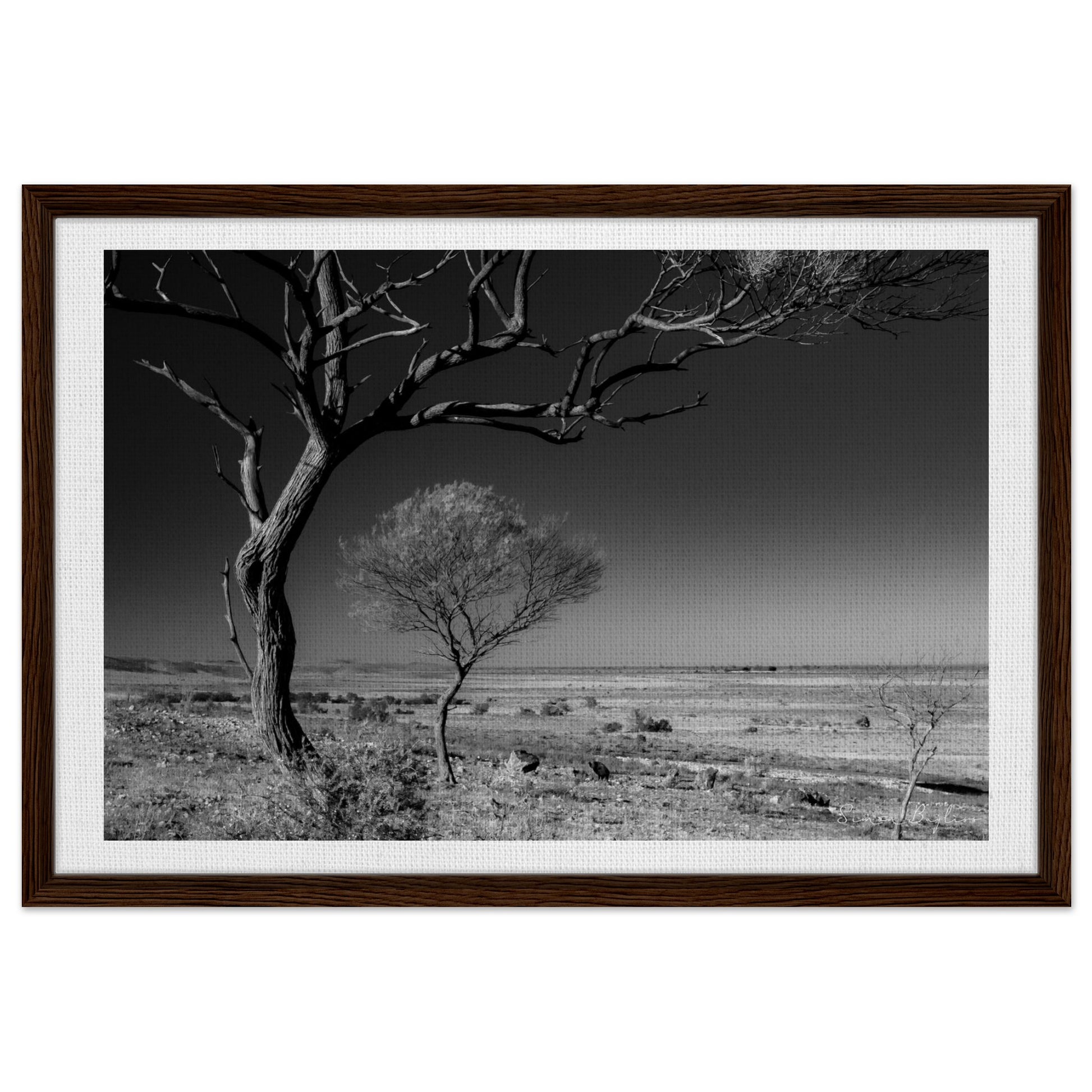 2bf67d57-64dd-4ab3-bacb-bcfe921ca635