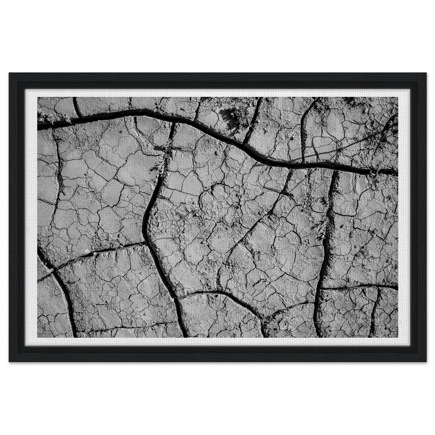 2c429292-d7af-45db-a6e7-d2da9a75fcd0