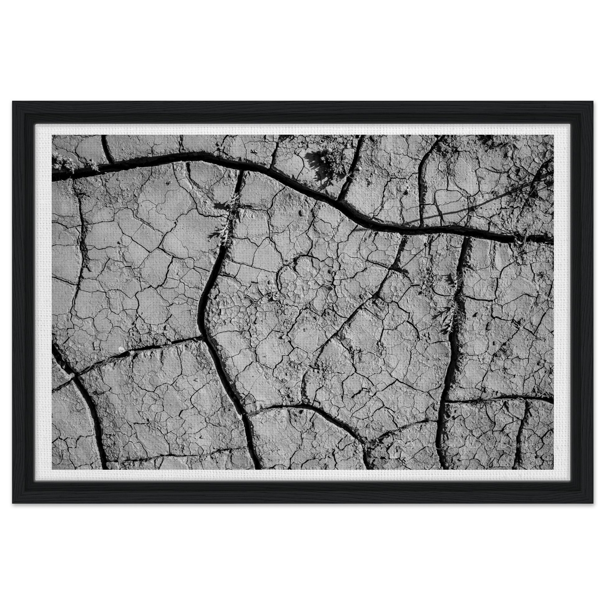 2c429292-d7af-45db-a6e7-d2da9a75fcd0