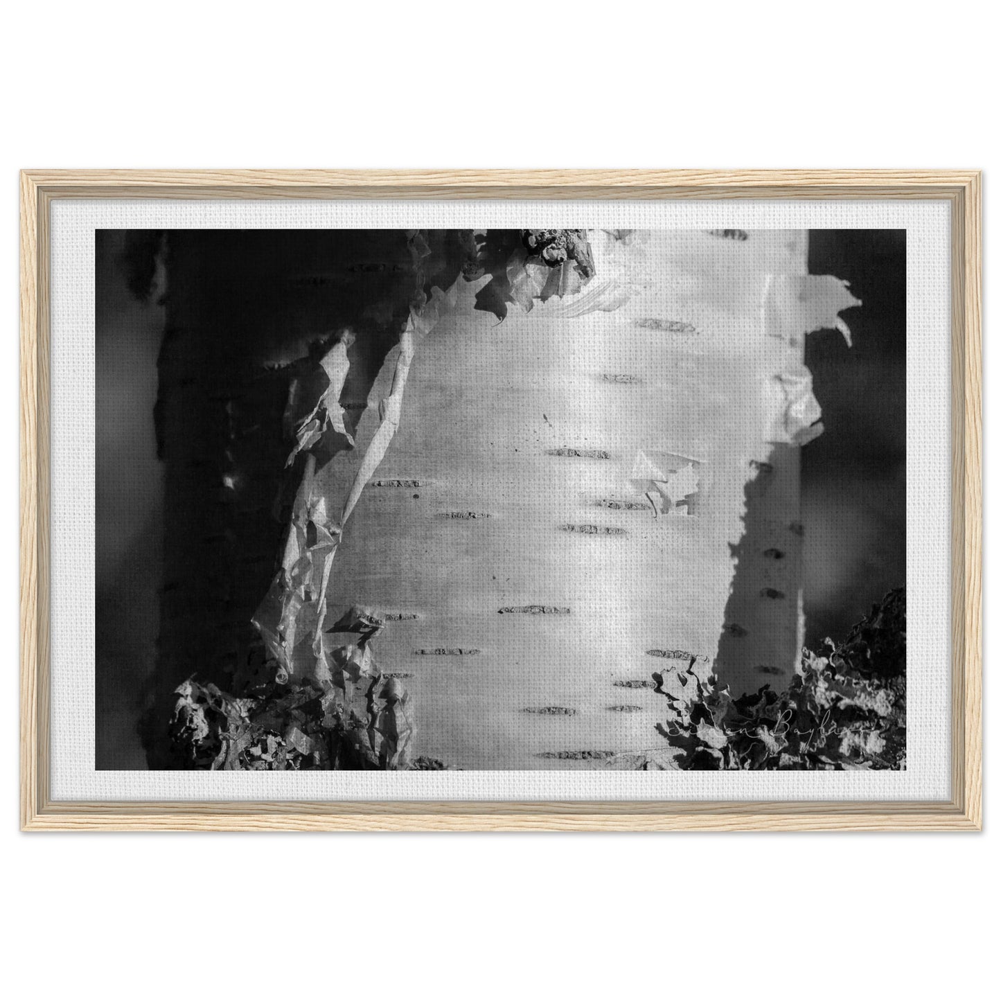 2c5b2661-59ac-48ff-90b7-9300b0807b80