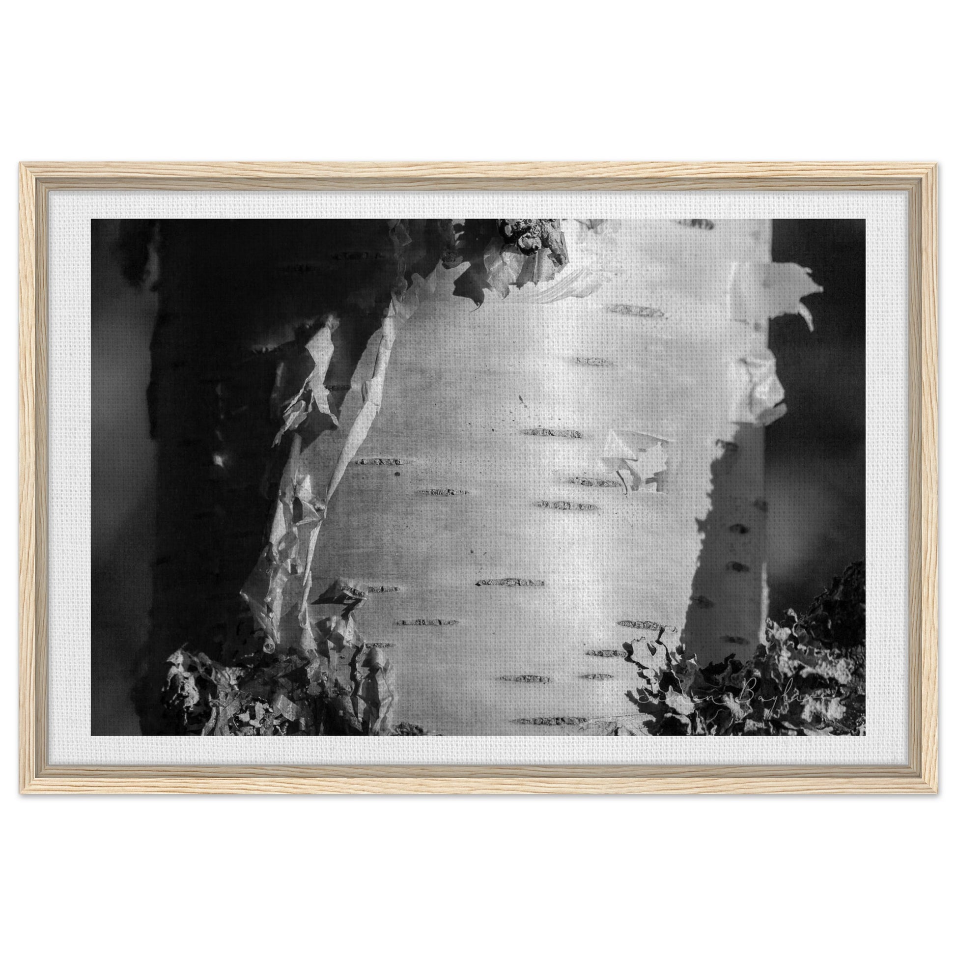 2c5b2661-59ac-48ff-90b7-9300b0807b80