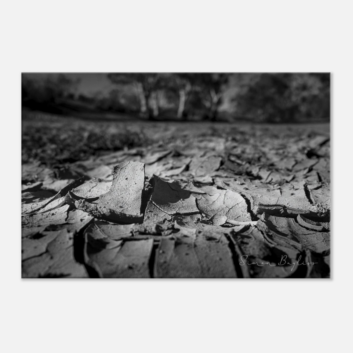 2c7258a1-6ea0-4413-9bbd-fc40e32454e8