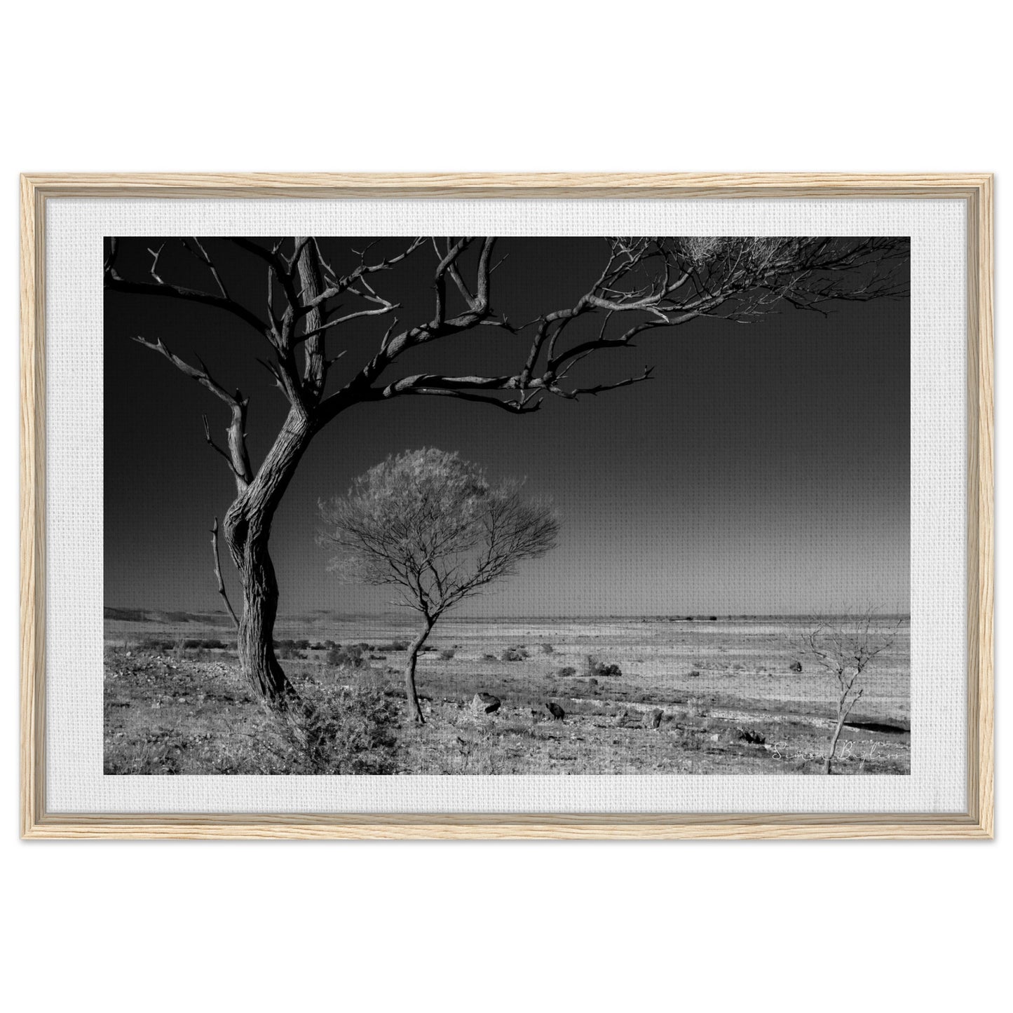 2d80370d-24c5-4648-a962-902f62f1acb9