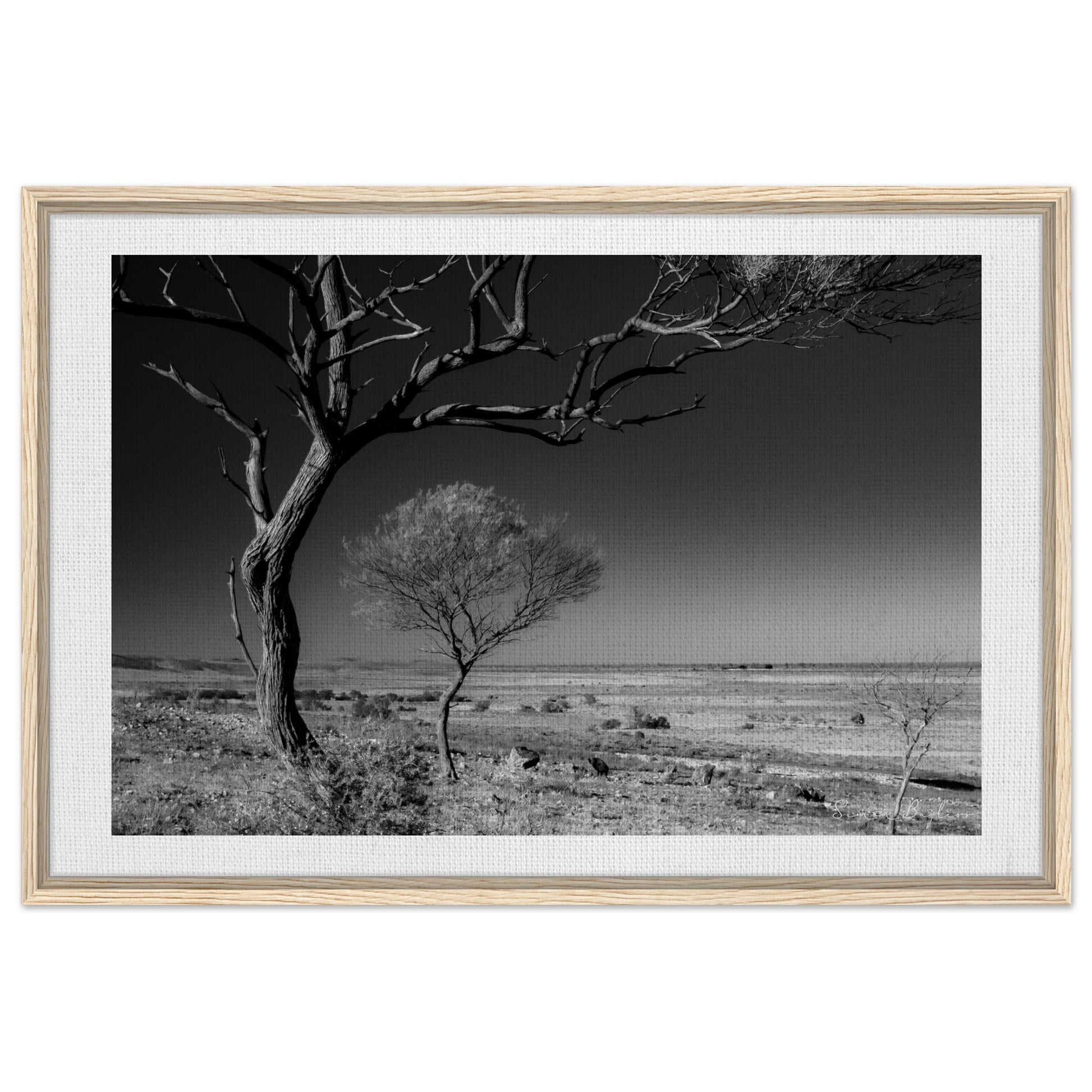 2d80370d-24c5-4648-a962-902f62f1acb9