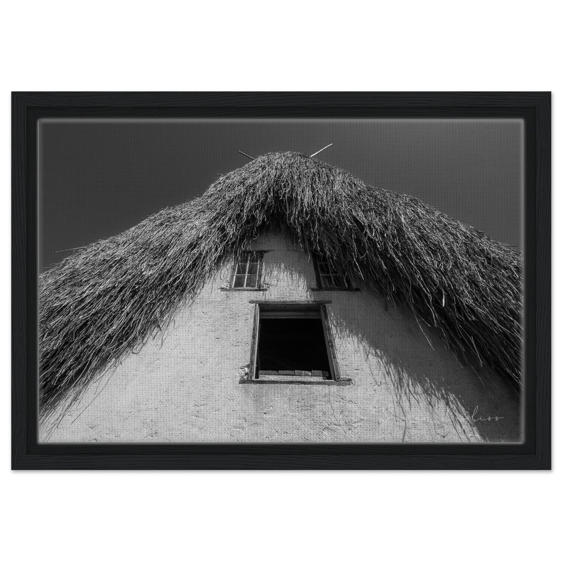 2e45e64e-d4c1-42cb-a5a3-b37053262c2c