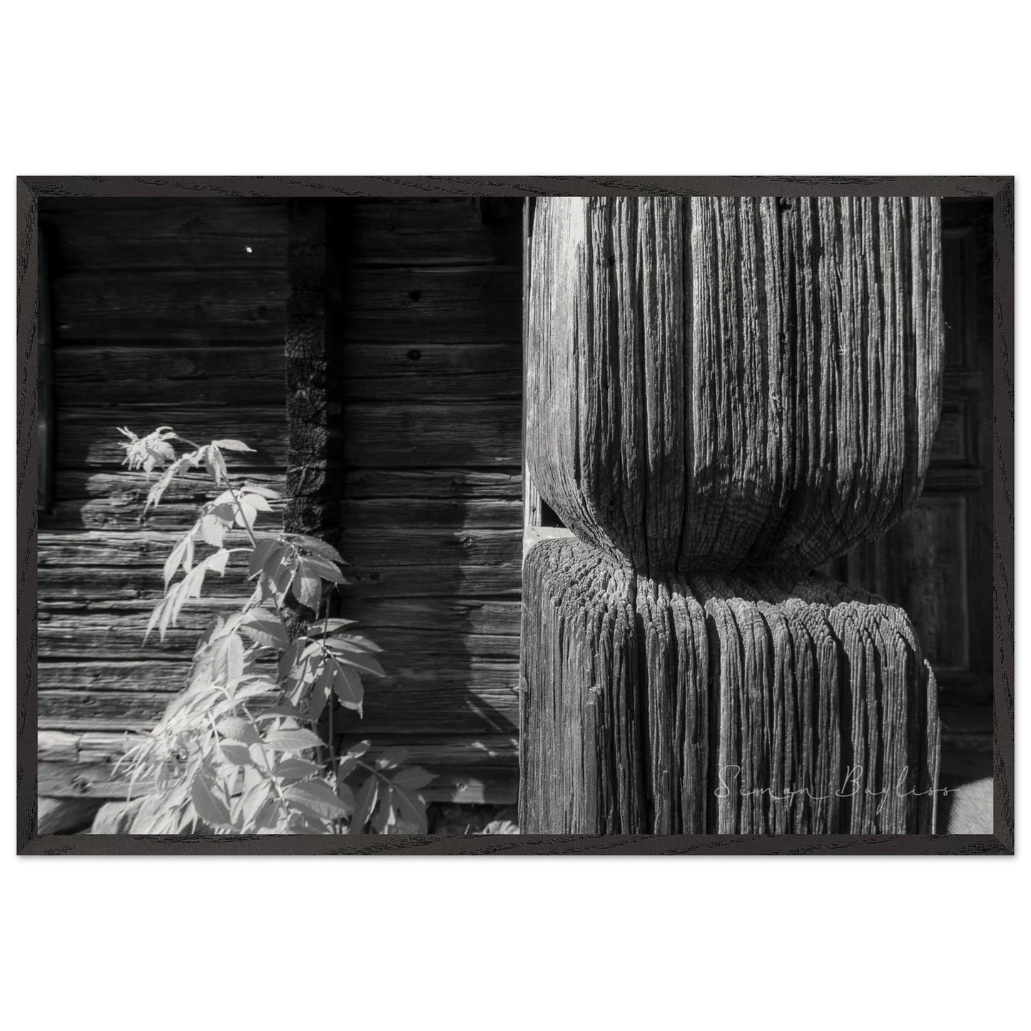 2e55176a-386d-4875-88e5-b0e3d0a591df