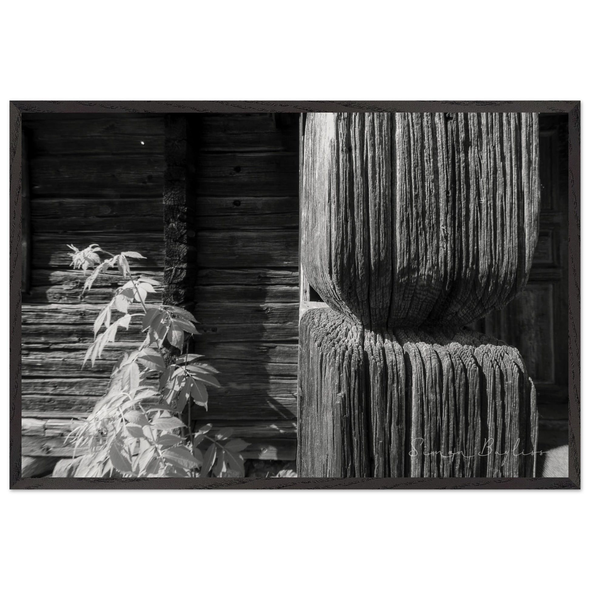 2e55176a-386d-4875-88e5-b0e3d0a591df