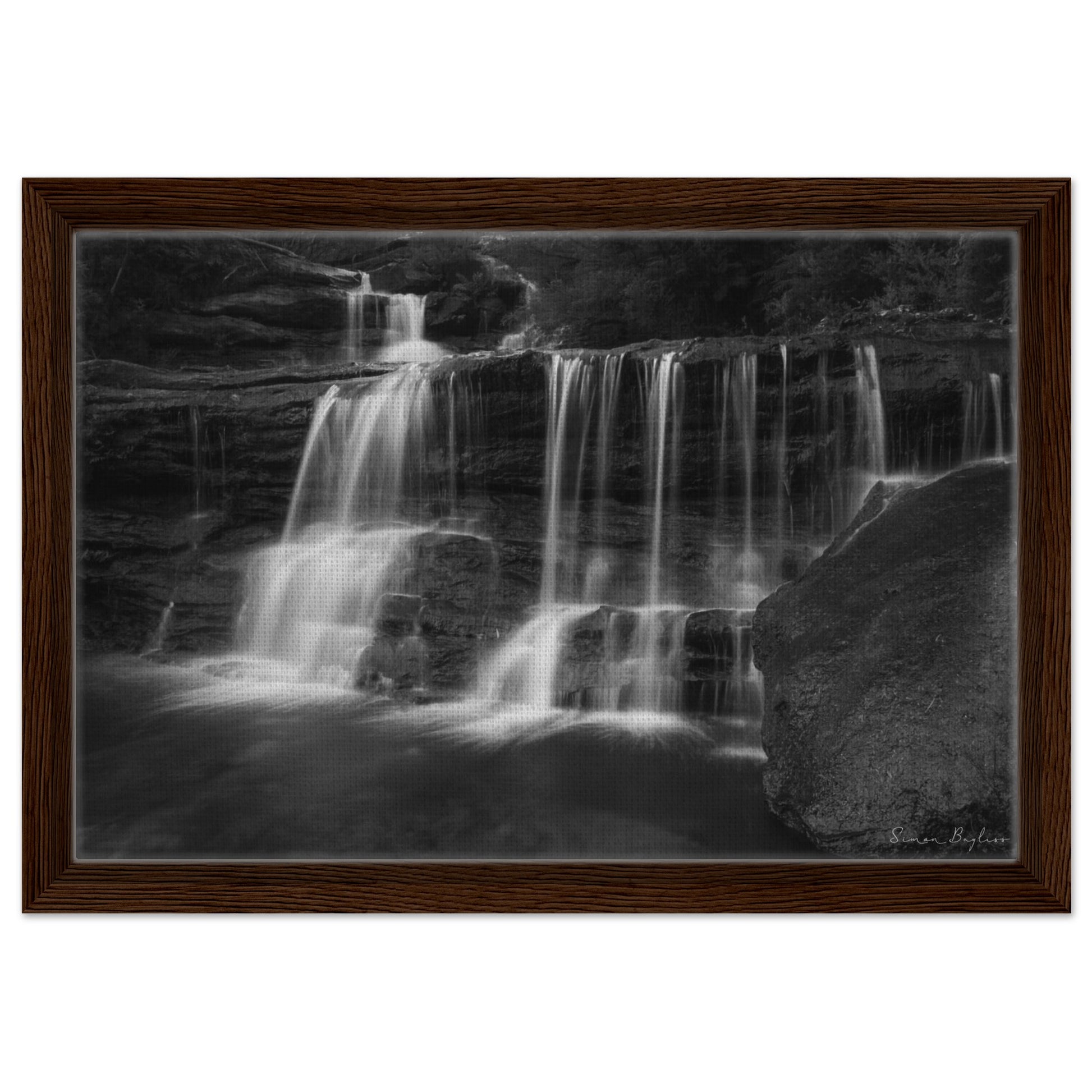 2e815a47-453a-41d5-8cee-2d7551077d4a