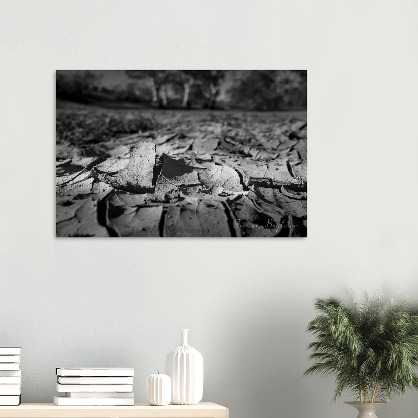 2f8a6ccd-85c8-4838-9658-fcf28492a328