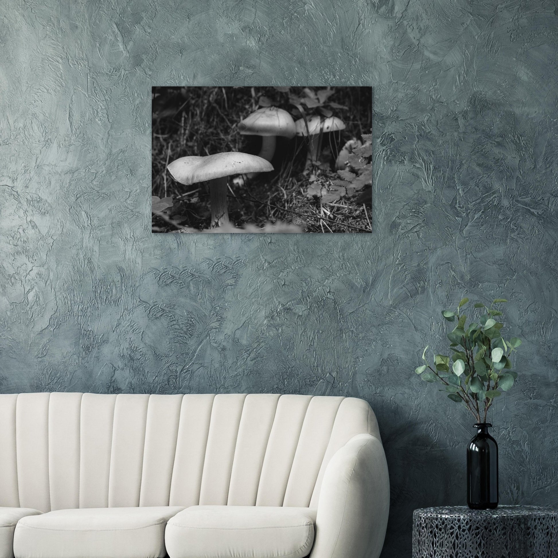 2fb33602-3038-405f-ae82-92041ec3da15