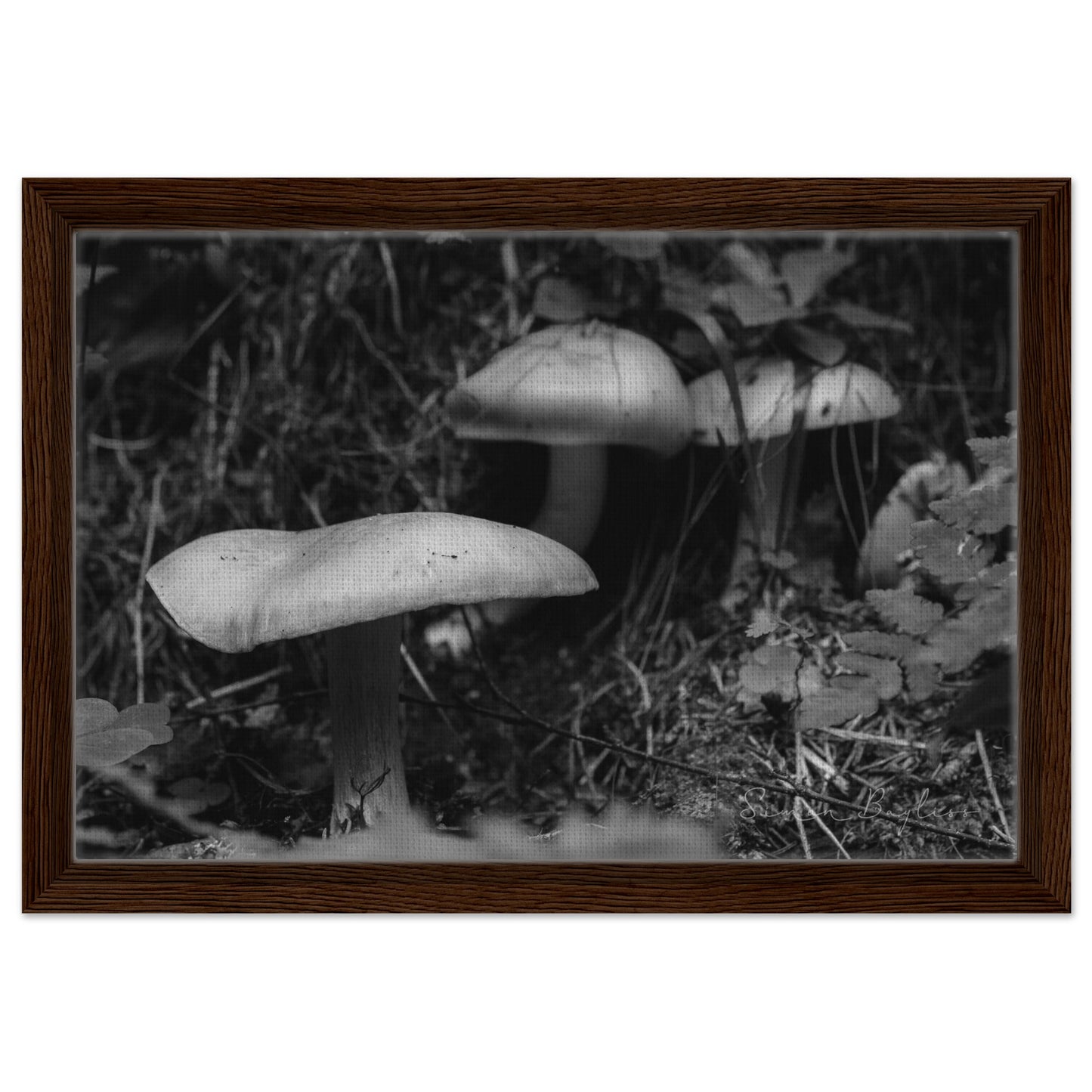 3064a692-74f8-4434-9316-413b3b6493d1