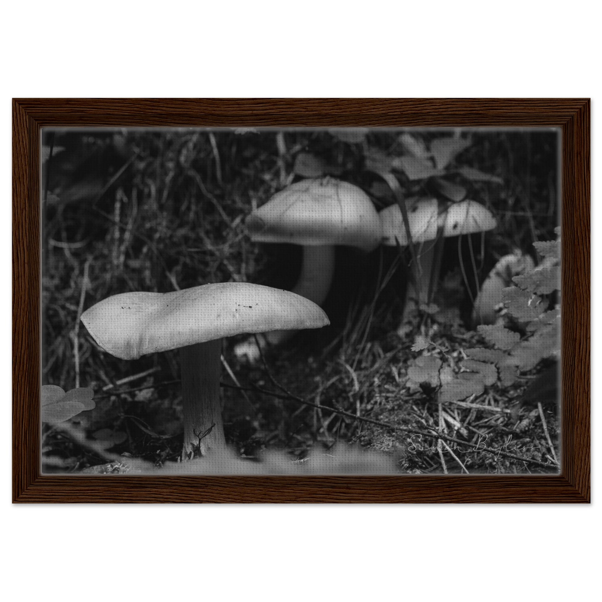 3064a692-74f8-4434-9316-413b3b6493d1