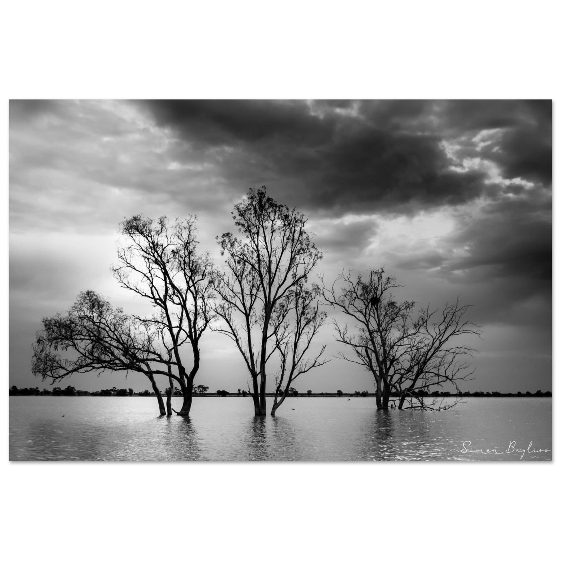 30a8d9af-b067-41e8-8547-28c44d2d84aa