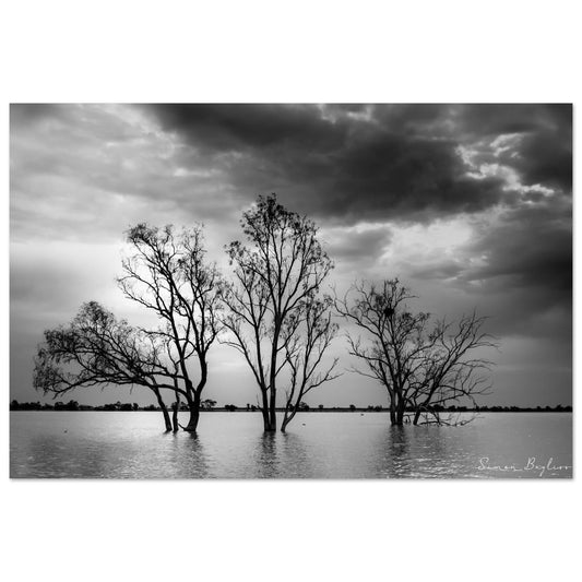 30a8d9af-b067-41e8-8547-28c44d2d84aa