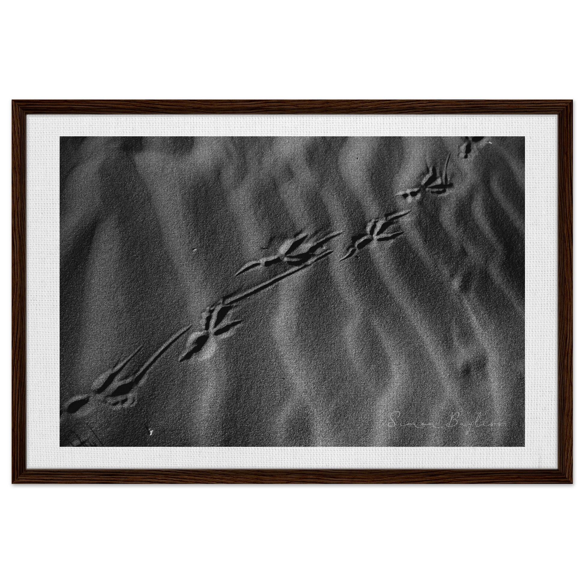 3154b04f-3711-41d8-986a-92ba3ffdec36