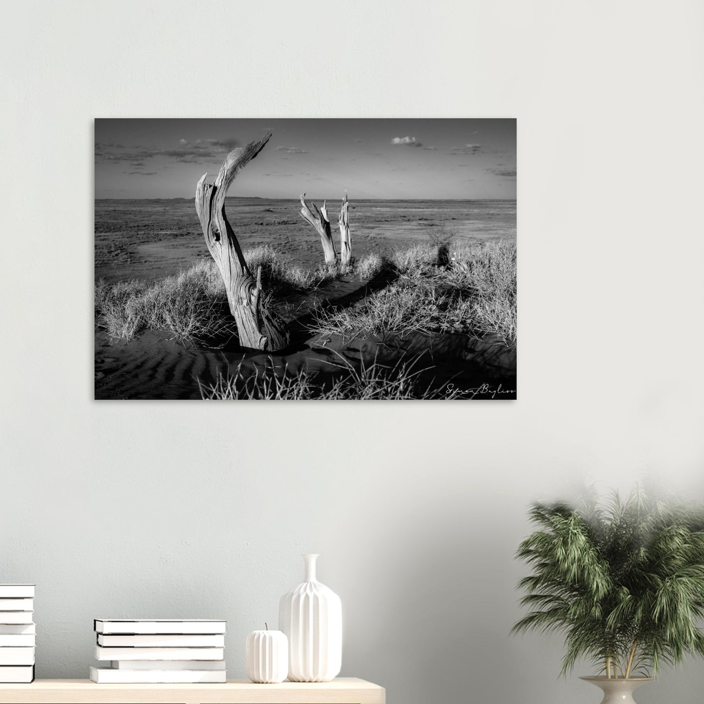 317b458b-c556-4b6c-a3b5-ae3aa301e88e