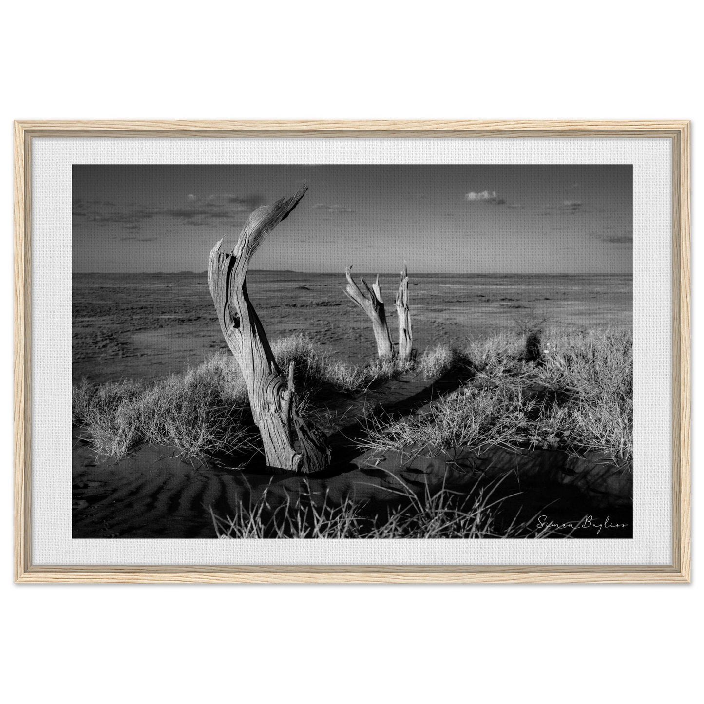 31aa35ac-807e-4294-9100-1b8b277fd779