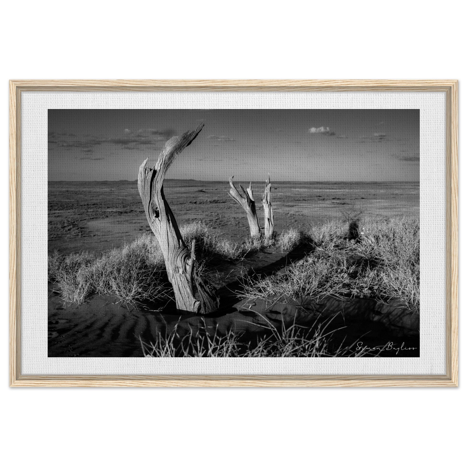 31aa35ac-807e-4294-9100-1b8b277fd779