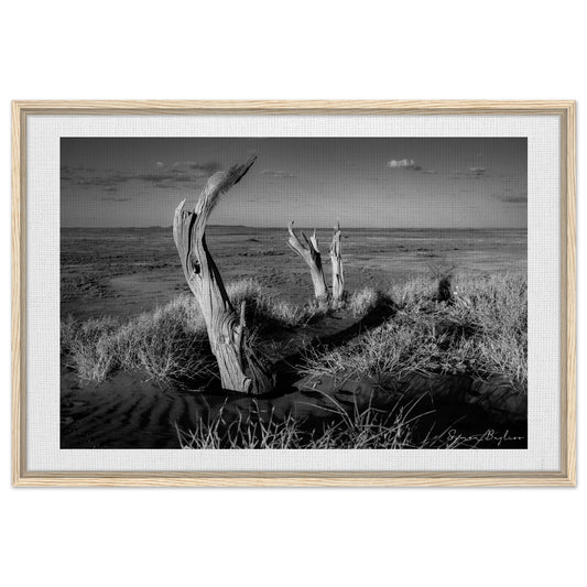 31aa35ac-807e-4294-9100-1b8b277fd779