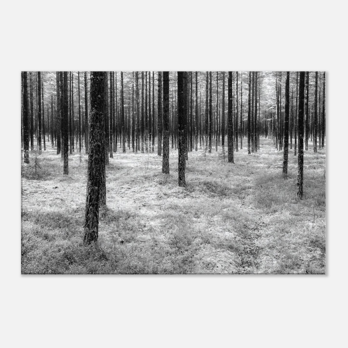 32019749-0d36-426a-9ccb-2fffdfe85002