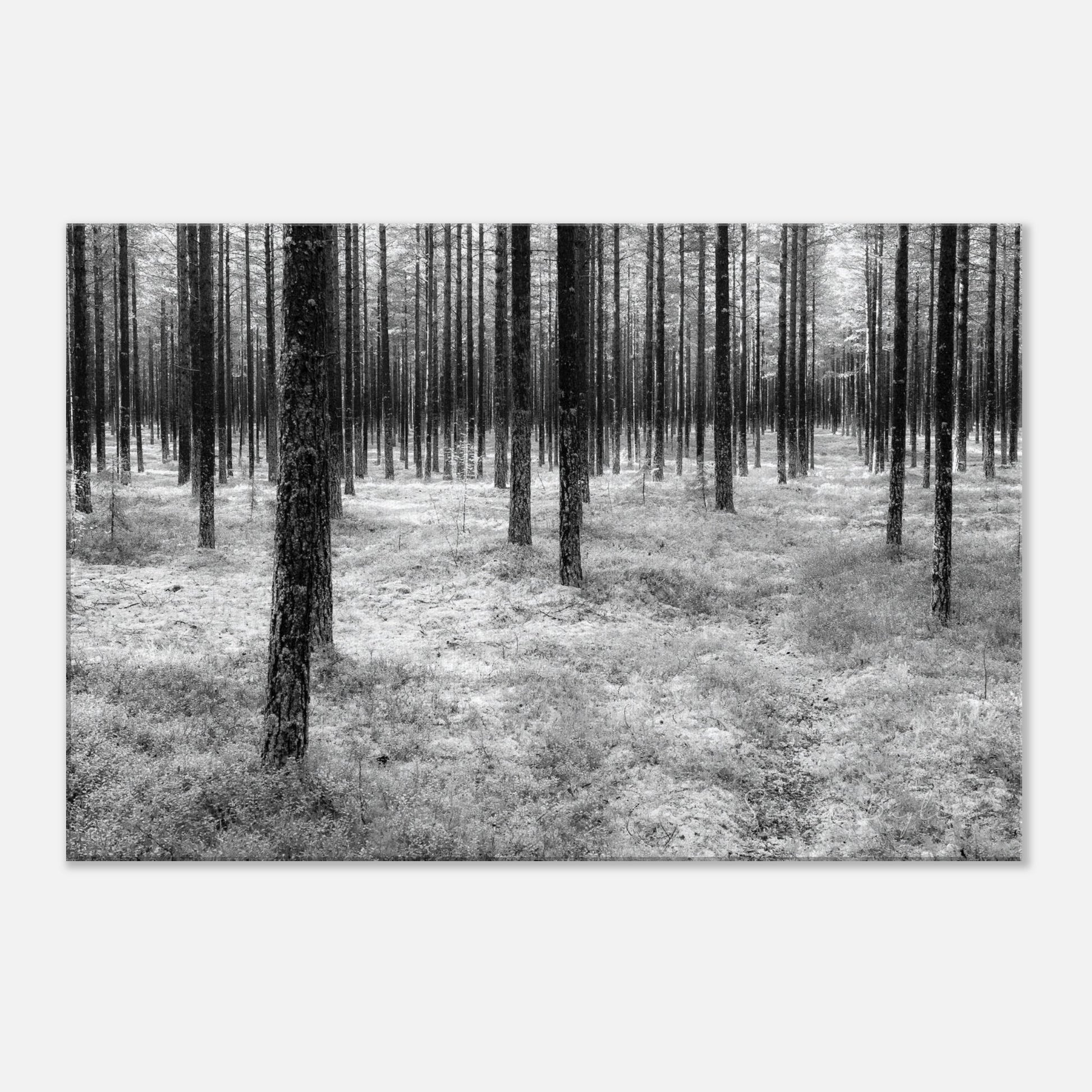 32019749-0d36-426a-9ccb-2fffdfe85002