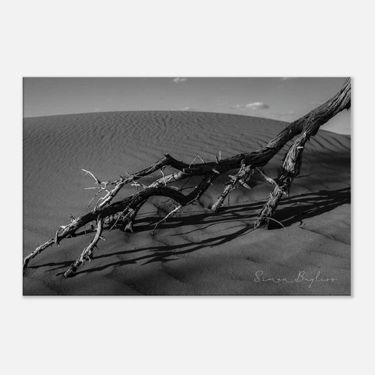 3273408f-8a6c-41a5-ab2d-ea94a8c490ae