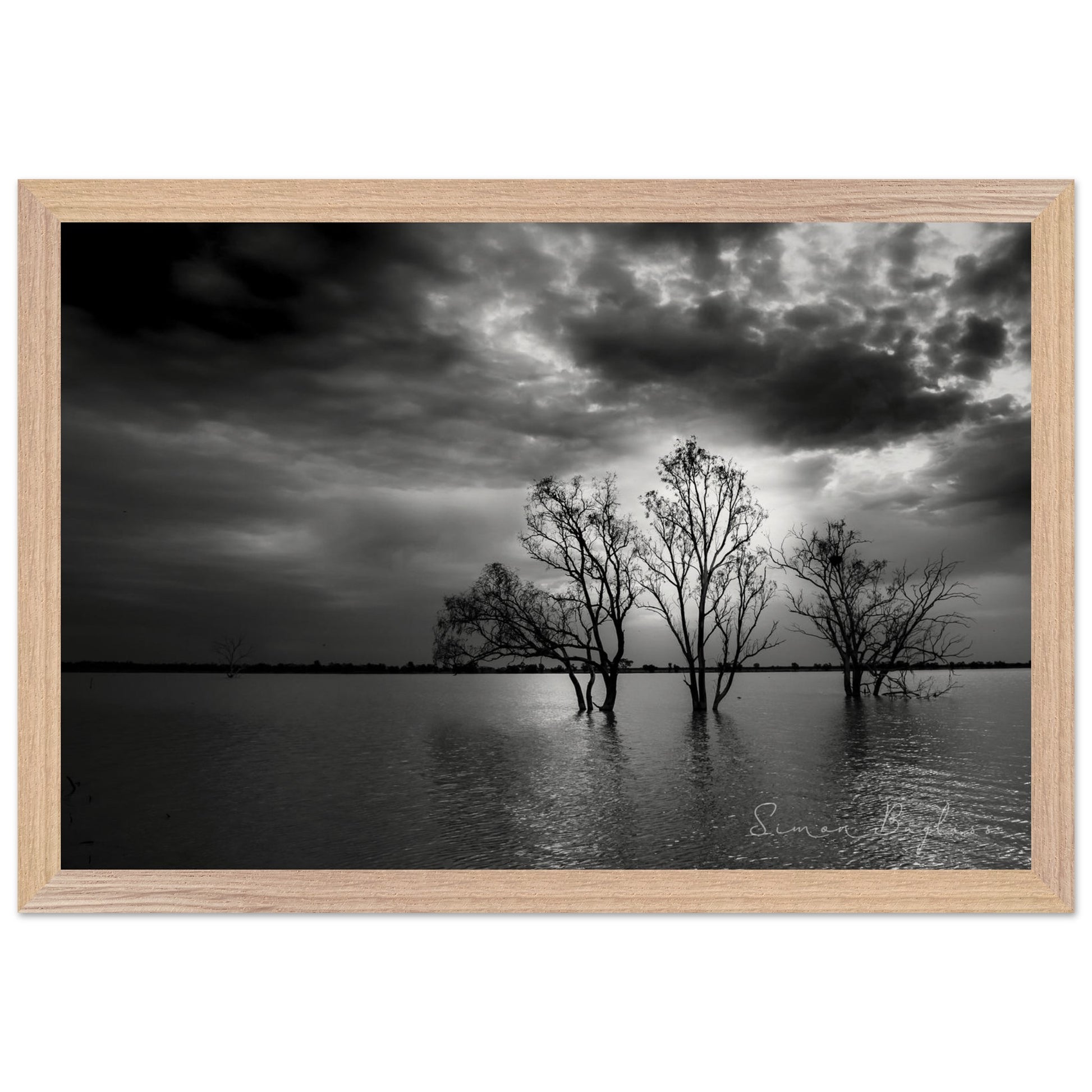 3277fc49-5c71-45ff-b0d4-8cd7721fa14c