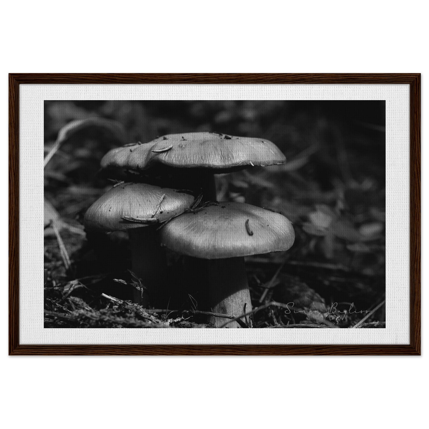 3337423f-60a8-4770-8a35-75ac48da548a