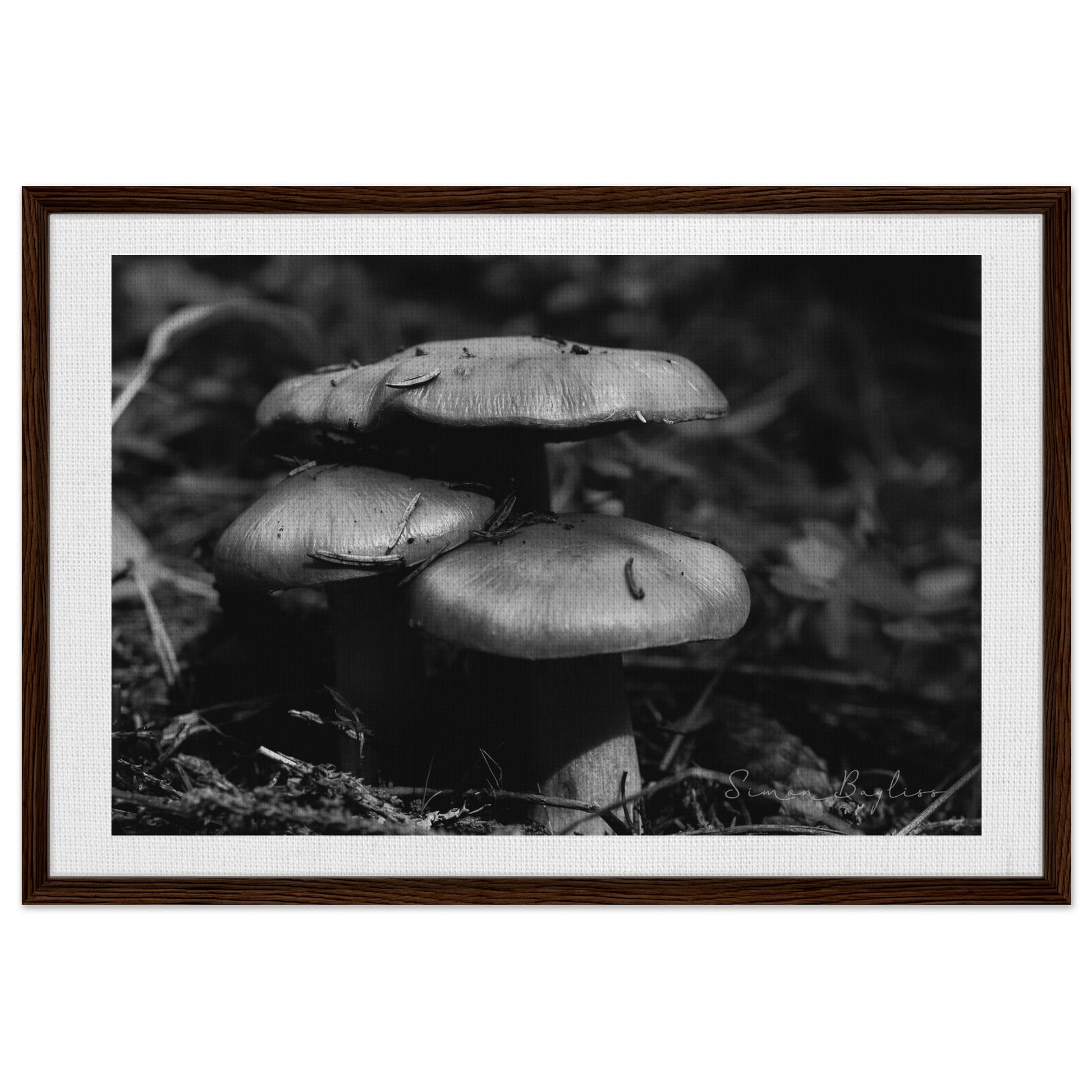 3337423f-60a8-4770-8a35-75ac48da548a