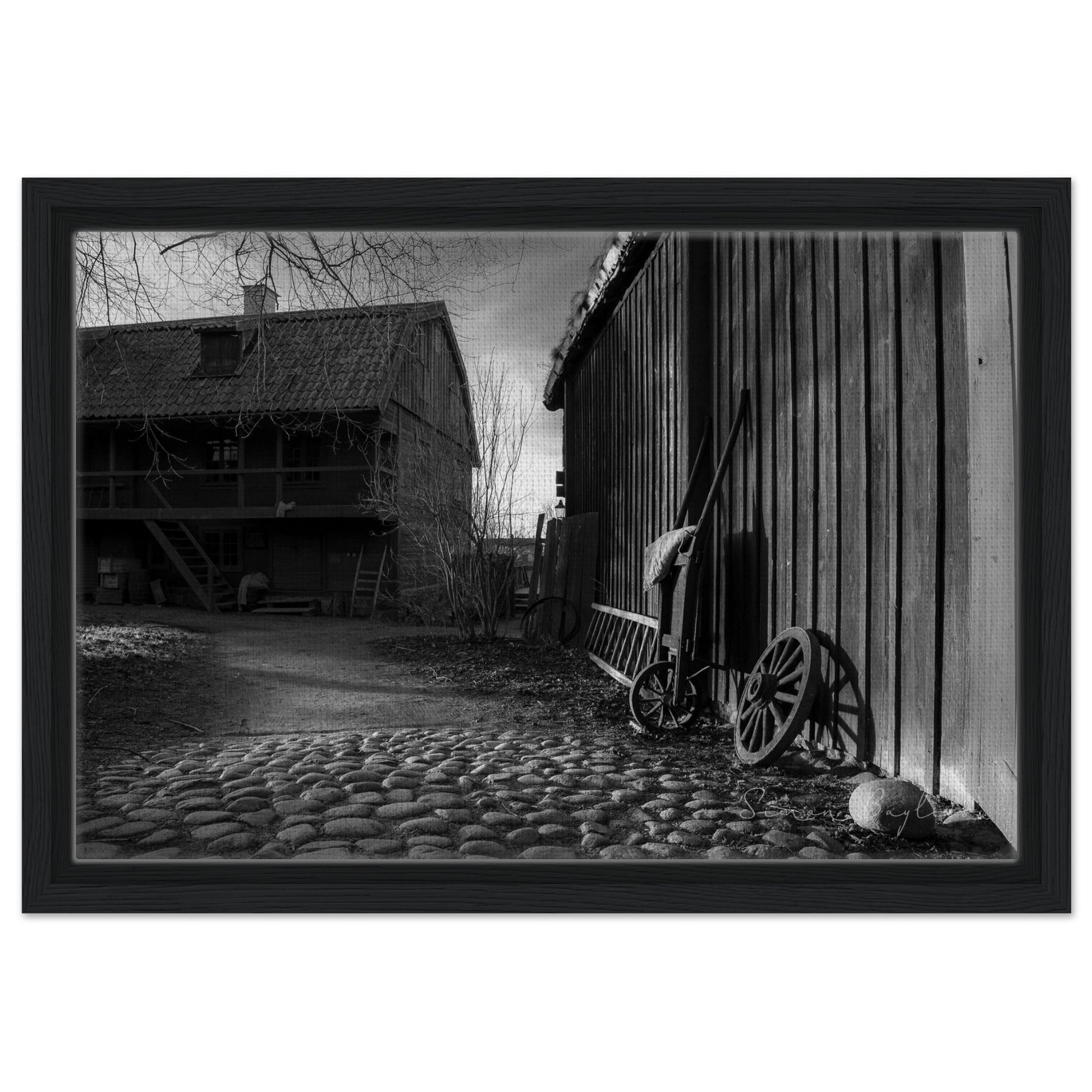 336e904b-e721-4955-bc09-89f3ecb8881c