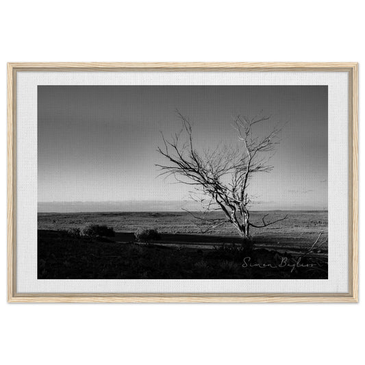 3386807c-80d8-4d24-a9da-f4f9f194cadf