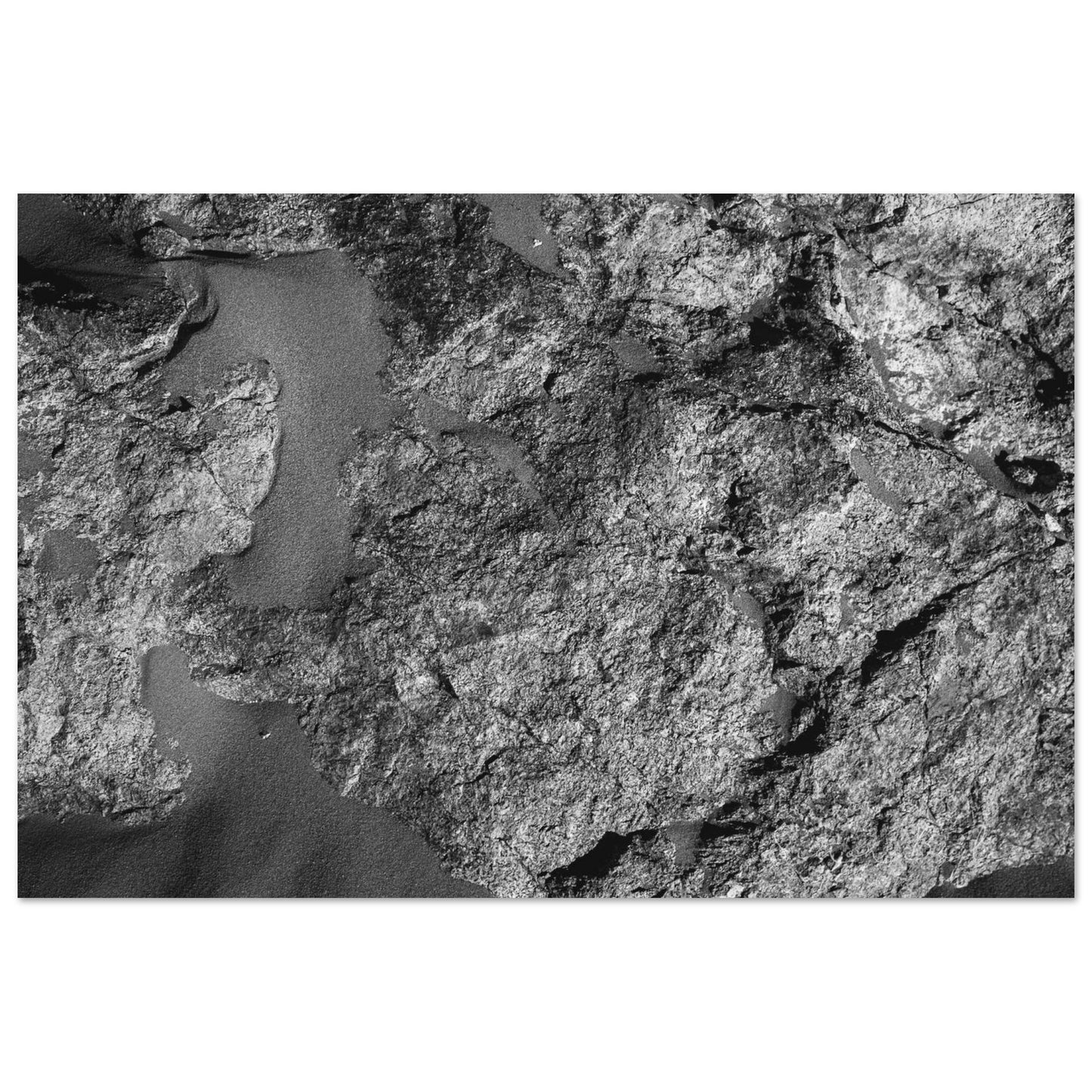 34ad185b-491d-47e4-8878-4537bb37d029